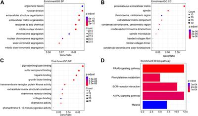 6-lncRNA Assessment Model for Monitoring and Prognosis of HER2-Positive Breast Cancer: Based on Transcriptome Data